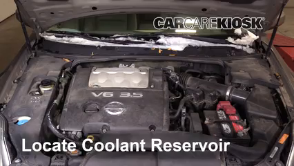 2006 Nissan Maxima SE 3.5L V6 Coolant (Antifreeze) Check Coolant Level